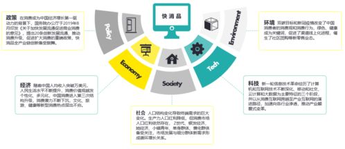 數字心智運營 把握時代機遇，論中國快消品企業D2C轉型趨勢及北京企業網站開發與運營